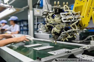 “手機教授”解析 大黑邊手機究竟值不值得買？